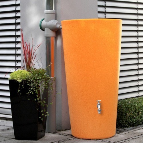 Rainbowl 210 L Mango frachtfrei
