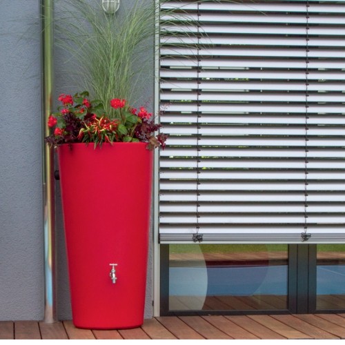 Rainbowl Flower 150 L chili